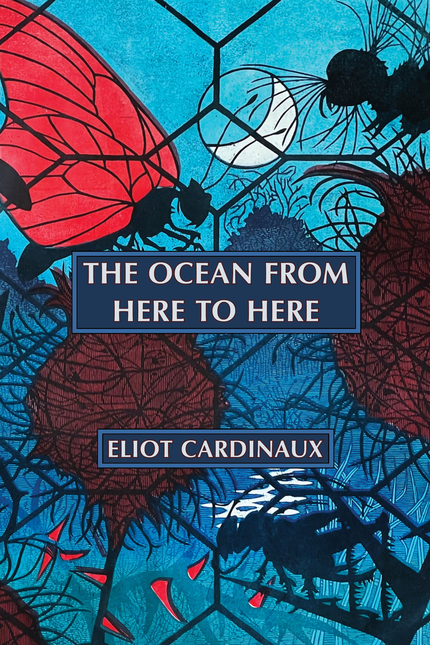 Eliot Cardinaux: The Ocean from Here to Here