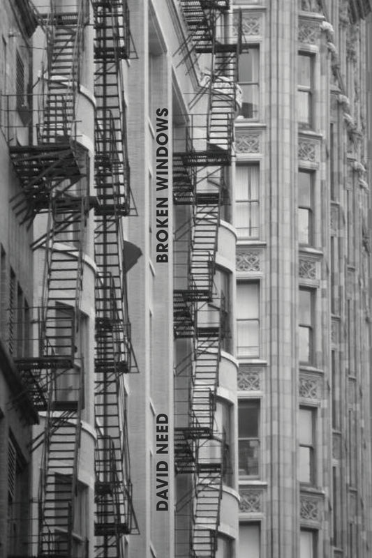 David Need: Broken Windows