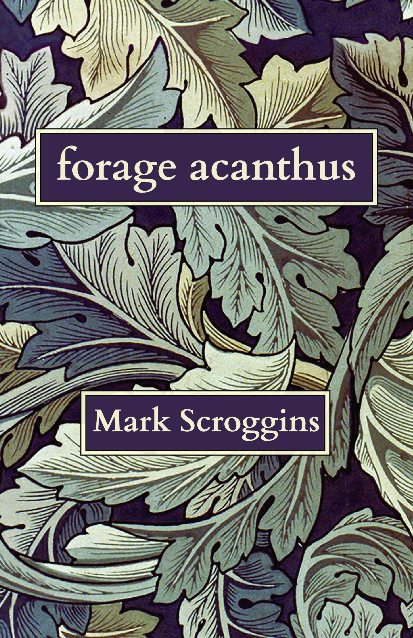 Mark Scroggins: forage acanthus