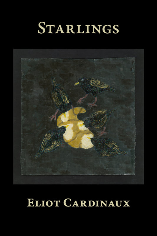 Eliot Cardinaux: Starlings